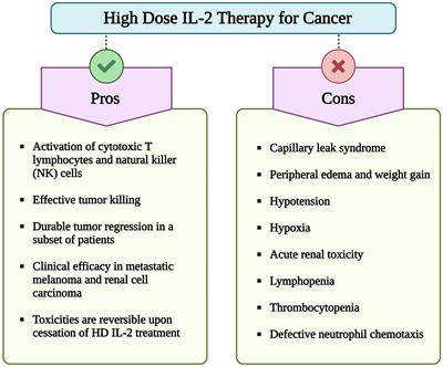 IL-2 based cancer immunotherapies: an evolving paradigm